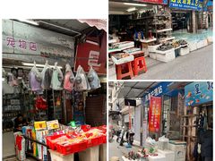 -清平路水族市场