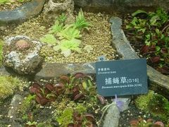 -北京植物园-展览温室