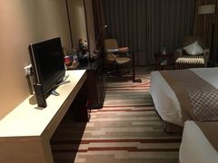 -电谷雅阁国际大酒店