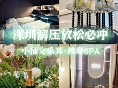 -小仙女采耳·按摩·SPA(深圳旗舰店)