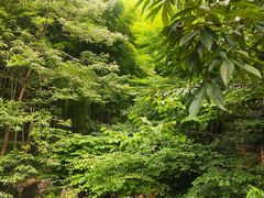 -藏龙百瀑风景区