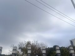 -圩墩遗址公园