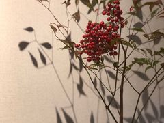 -十二舍·湯物素煮(江泰潤政店)