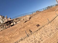 -石家庄市动物园