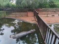 -海南热带野生动植物园