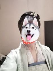 -盘子女人坊古装写真摄影(天津总店)