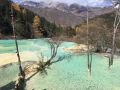 -黄龙山原始森林景区