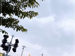 -上海海昌海洋公园