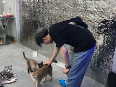-极木²邸 人与宠物·互动社区
