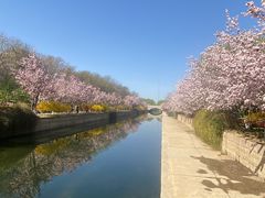 -元大都城垣遗址公园