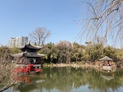 -水绘园