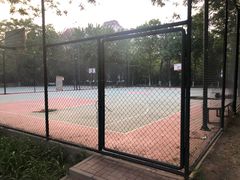-金星公园