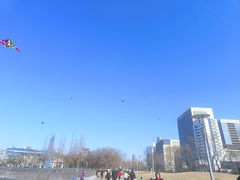 -泉城广场