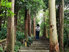 -小南山公园