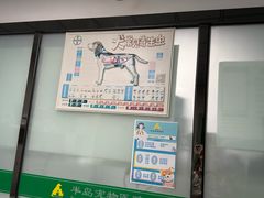 -半岛宠物医院24小时(科华中路店)