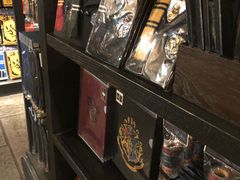 -哈利波特魔法世界