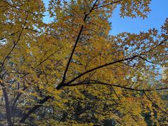 -森林公园(尖草坪区)