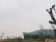 -桂溪生态公园