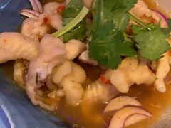 -千岛蚝高压锅生蚝·人参火锅(白云万达店)