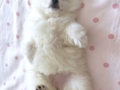 -美迦爱-牙专科·兔科·骨科诊疗中心(北苑店)