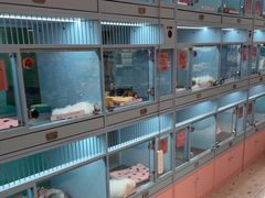-FAELING PETS美天灵宠物(合生汇店)