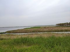 -白洋淀景区