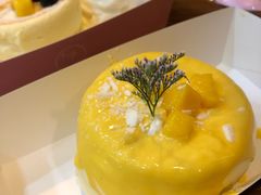 -狐狸和向日葵(北京路店)