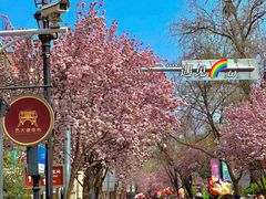 -天津五大道文化旅游区