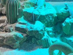-海合安武汉极地海洋公园