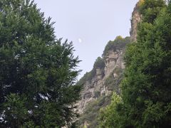 -重庆睡佛山森林公园