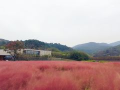 -南京市无想山景区