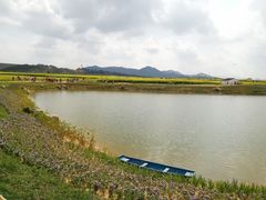 -光明小镇欢乐田园