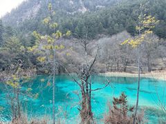 -九寨沟-树正沟