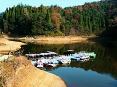 -龙川湾千岛湖国际垂钓中心
