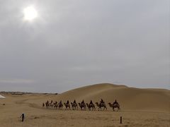 -银肯塔拉沙漠生态旅游景区