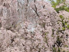 -西安青龙寺遗址景区