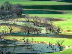 -靖西鹅泉风景区