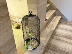 -云中漫步·足疗养生会馆(金开店)