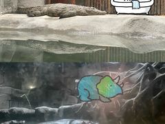 -武汉动物园