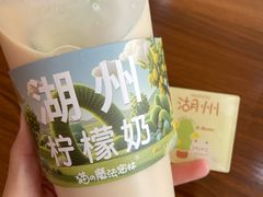 -猫的魔法密林(衣裳街店)