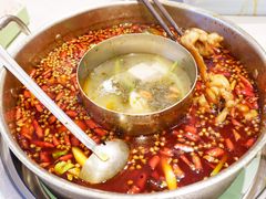 -蛙两只美蛙鱼头火锅(恒茂店)