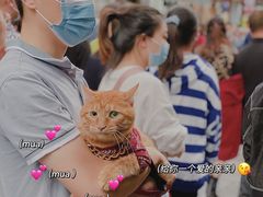 -壹丁咖啡(宽窄巷子店)