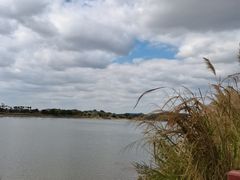 -鹤之洲湿地公园