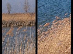 -野鸭湖国家湿地公园