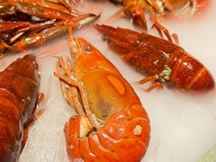 -红盔甲·小龙虾(人民广场店)
