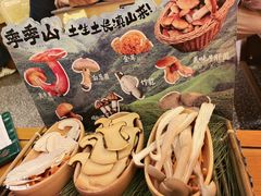 -季季山•云南野生菌火锅(上海首店)