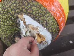 -双福水果批发市场