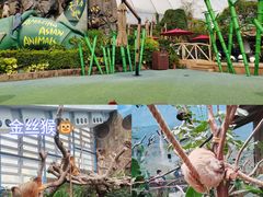 -香港海洋公园