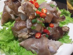 耙猪蹄-老诚一锅羊蝎子(黄寺大街店)