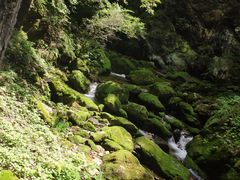 -牛背梁国家森林公园
